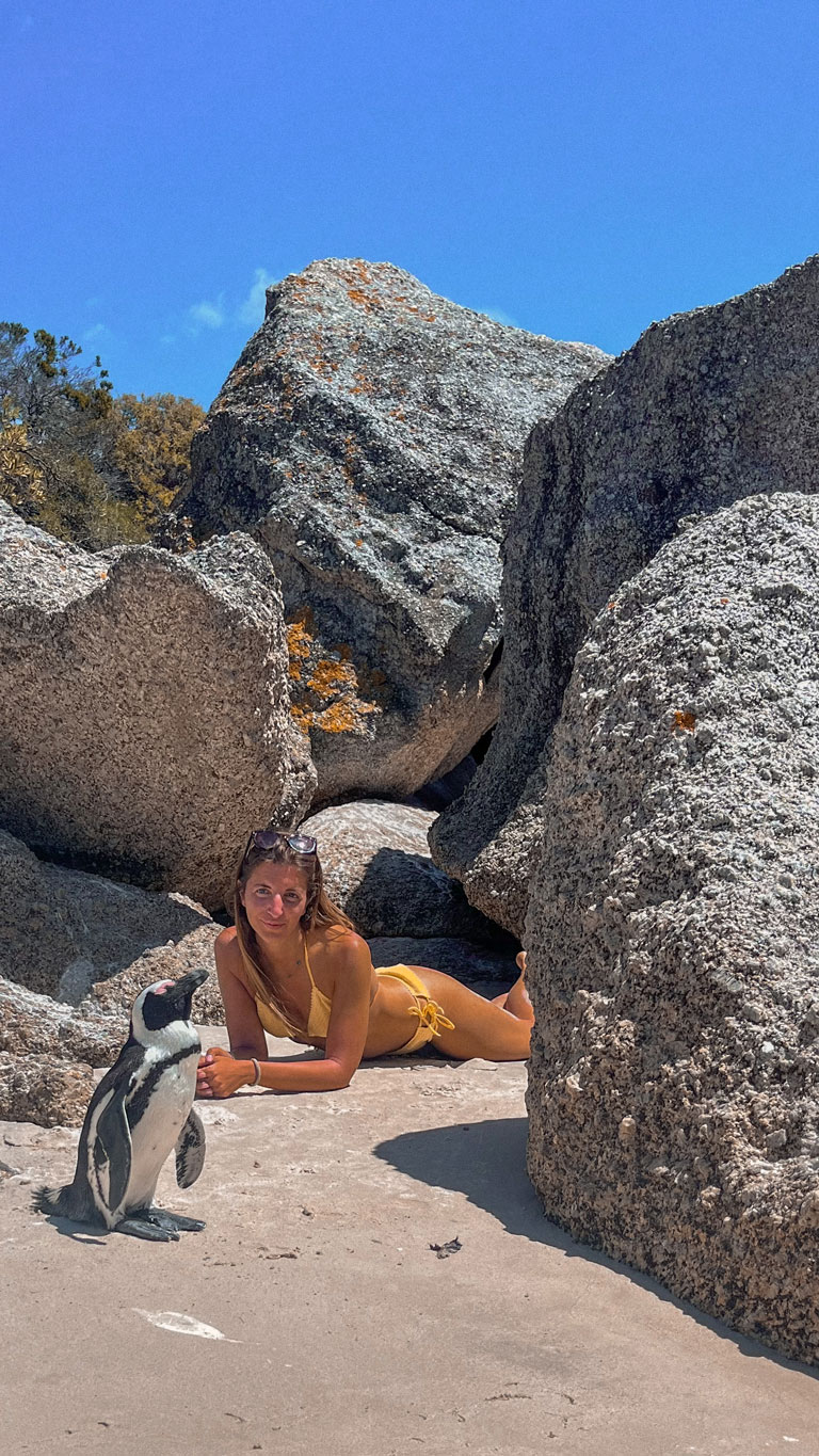 spiaggia-pinguini-pensiola-del-capo-boulders-beach