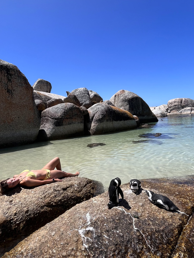 boulder-beach-penisola-del-capo-pinguini-spiaggia